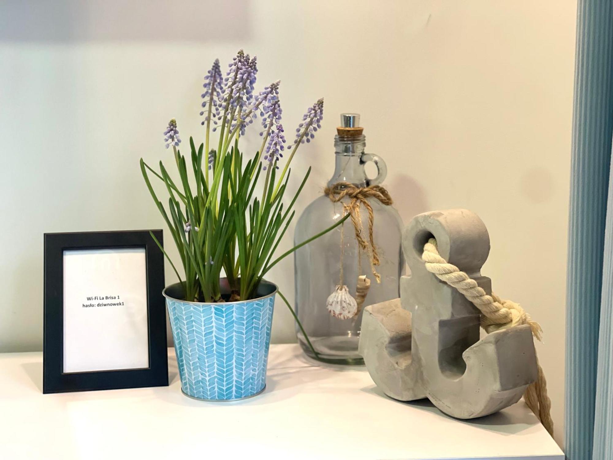 La Brisa Apartments Dziwnowek Ngoại thất bức ảnh
